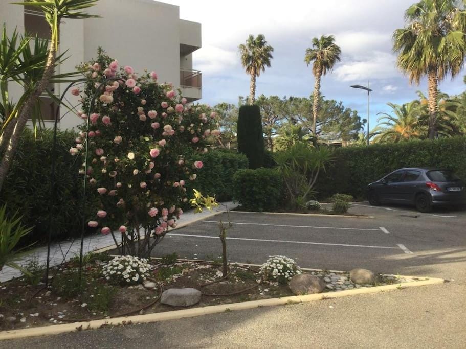 Le jardin de la mer, plage, jardin, parking , vélos Apartment in Villeneuve-Loubet