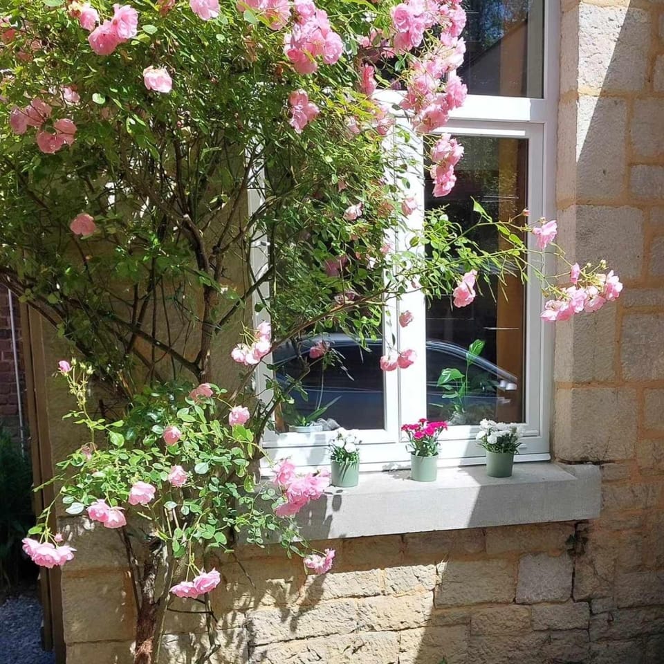 Monsieur Michel Bed and Breakfast in Dinant