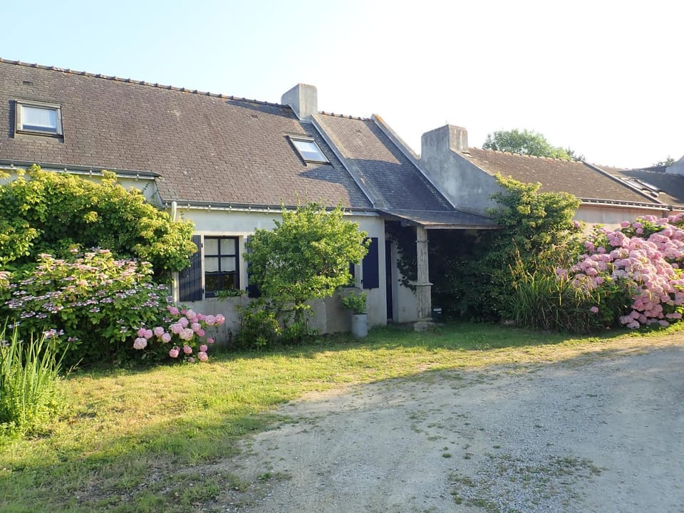 Property building, Facade/entrance, Spring, Pets, Pets, Quiet street view, Parking