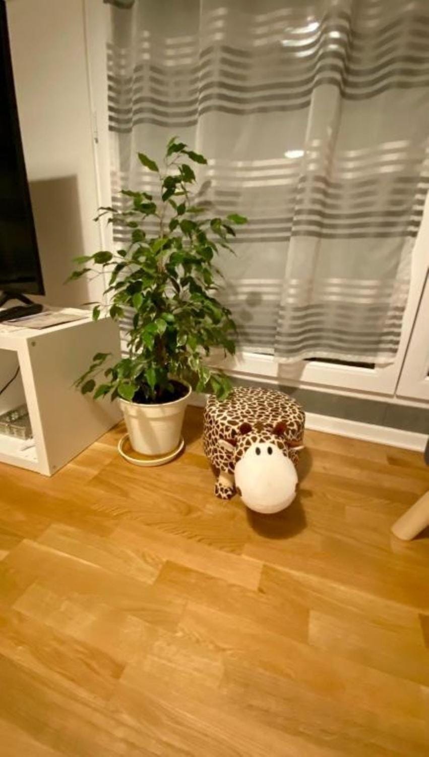 Living room, children