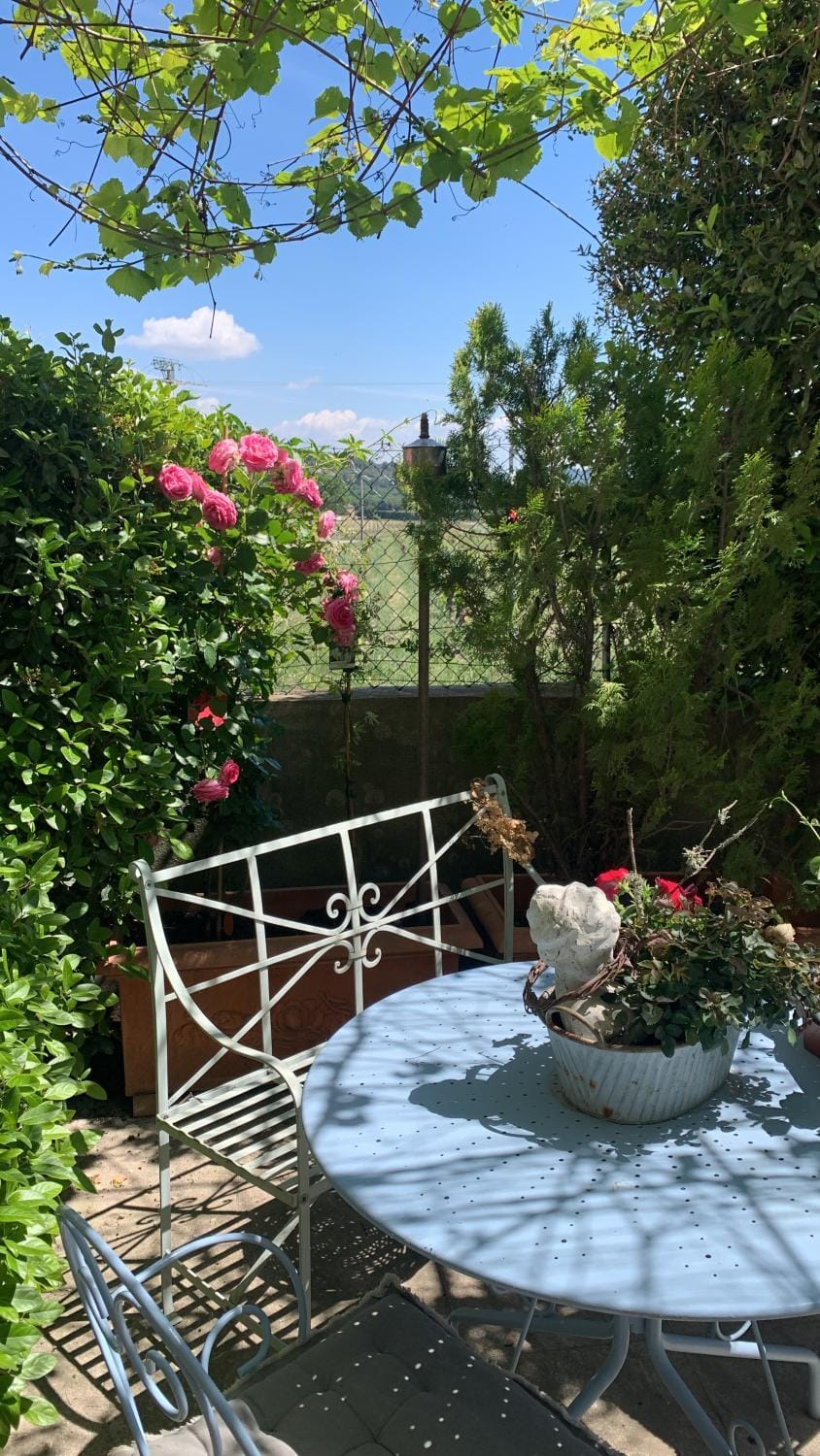 Natural landscape, Garden