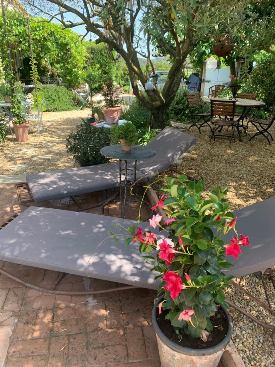 Patio, Garden, Garden view