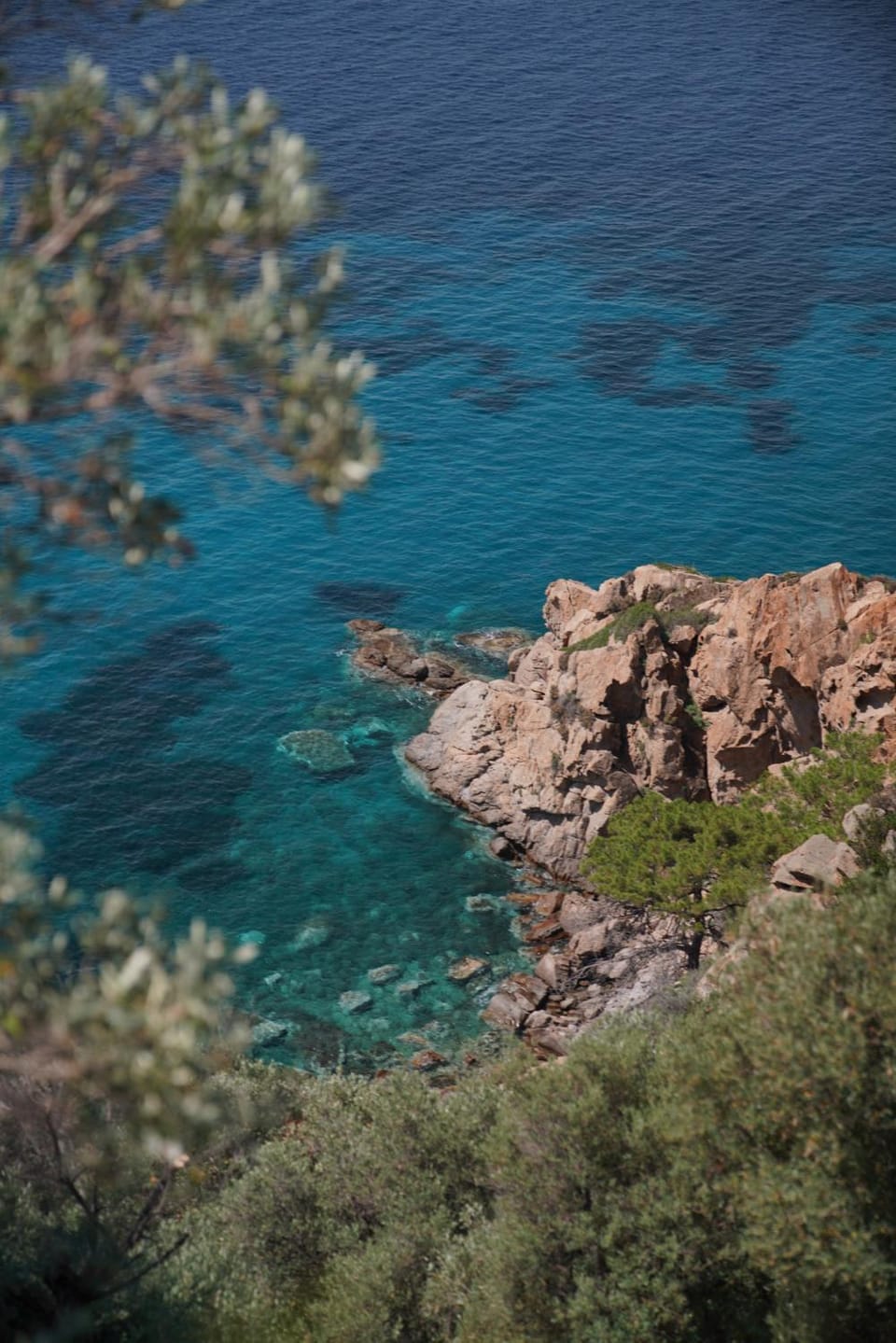Natural landscape, View (from property/room)
