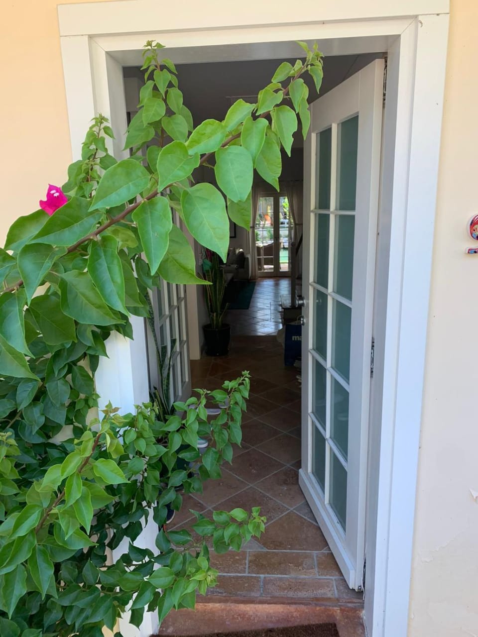 Day, Garden