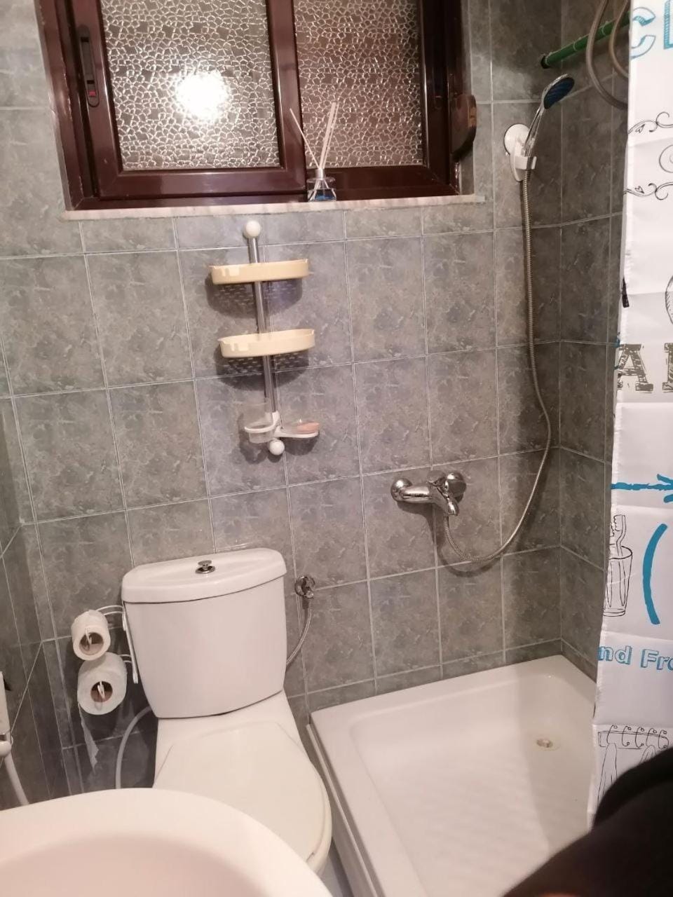 Shower, Toilet, Bathroom, bidet