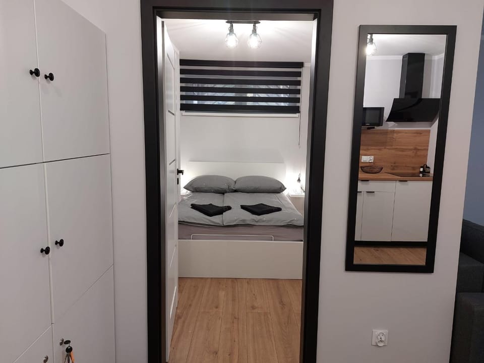Dream Apart B Żeromskiego 15 Apartment in Lower Silesian Voivodeship