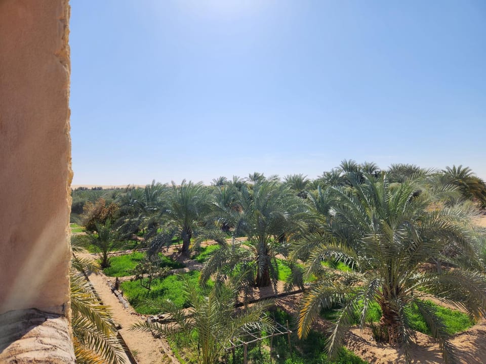 Natural landscape, Garden, Garden view