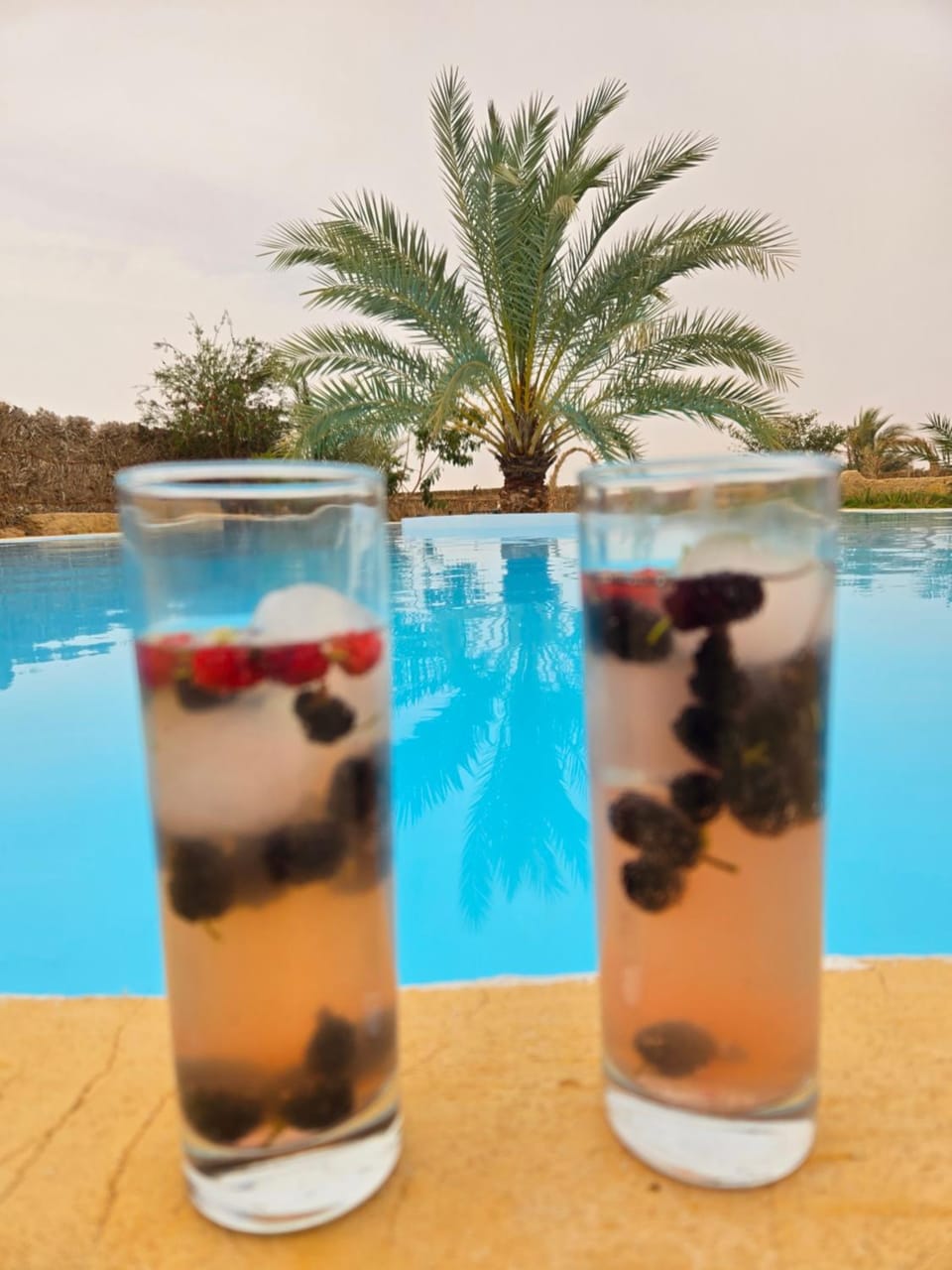 Food and drinks, Pool view, Swimming pool, Drinks