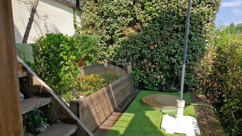 Shower, Patio, Garden view
