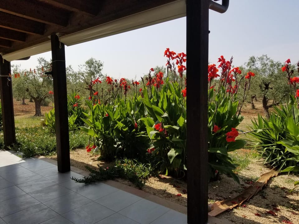 Bingo Bed and Breakfast in Sardinia