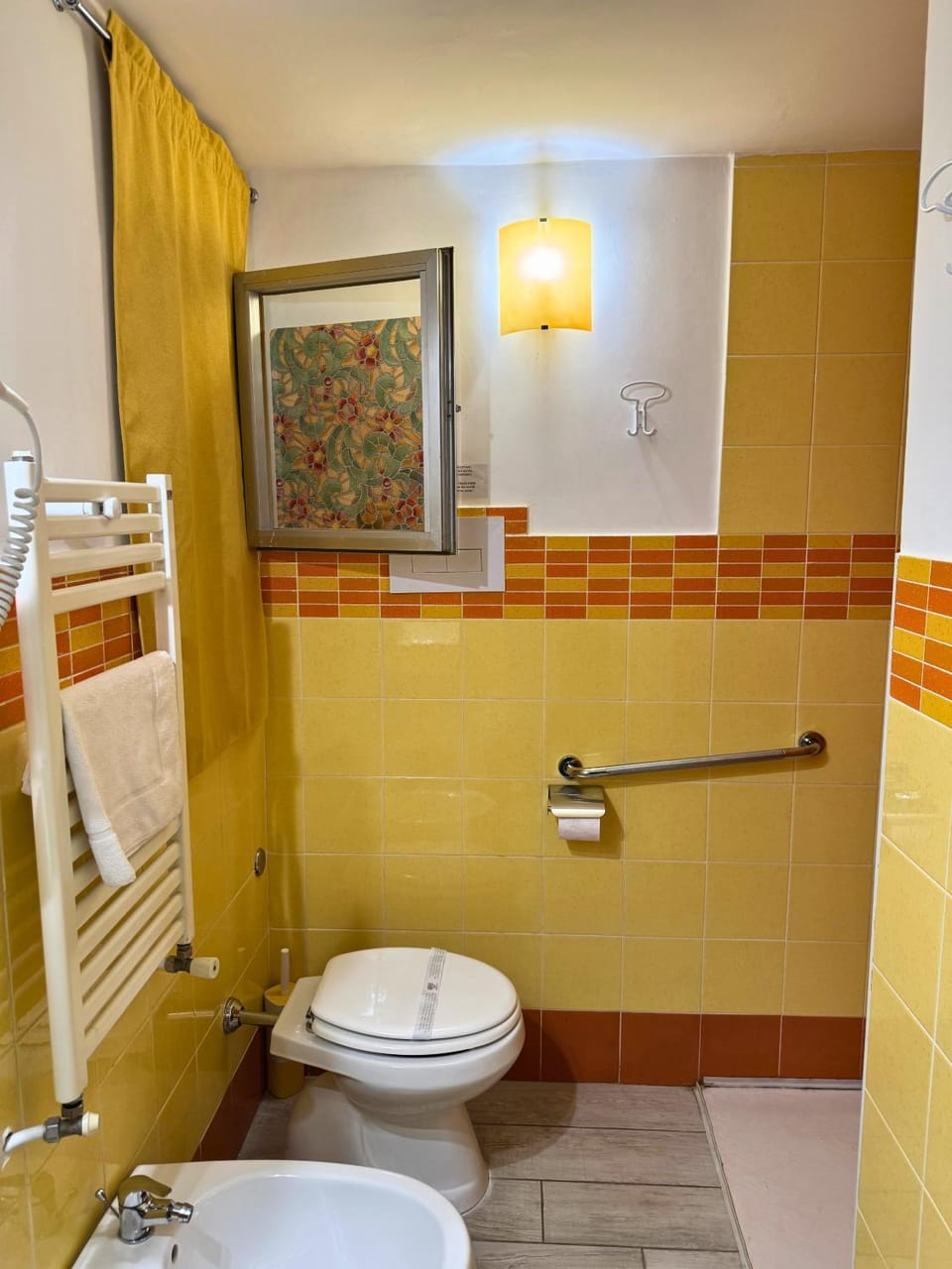 Shower, Toilet, Bathroom, Facility for disabled guests, bidet, hair dryier, towels