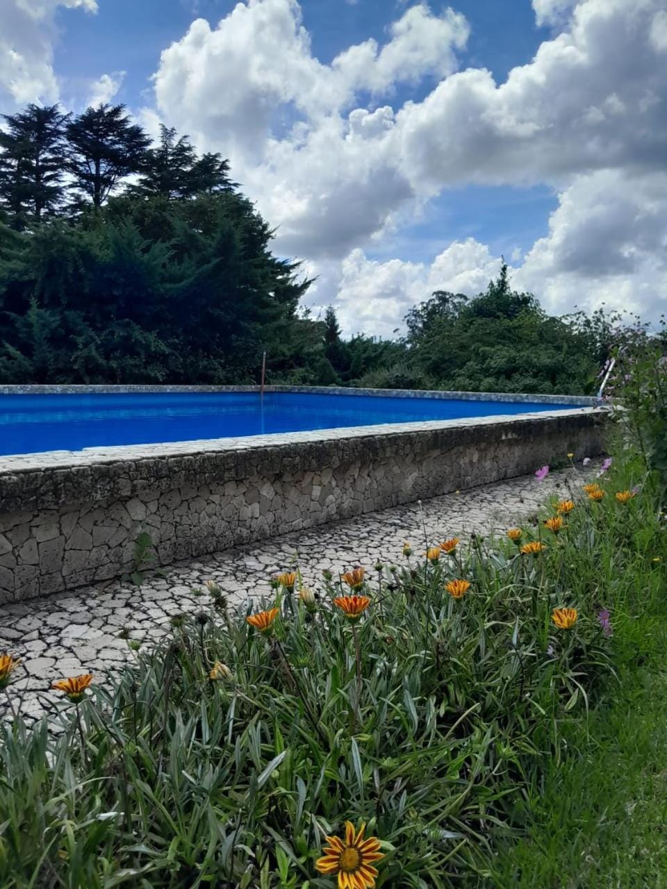 Natural landscape, Garden, Garden view