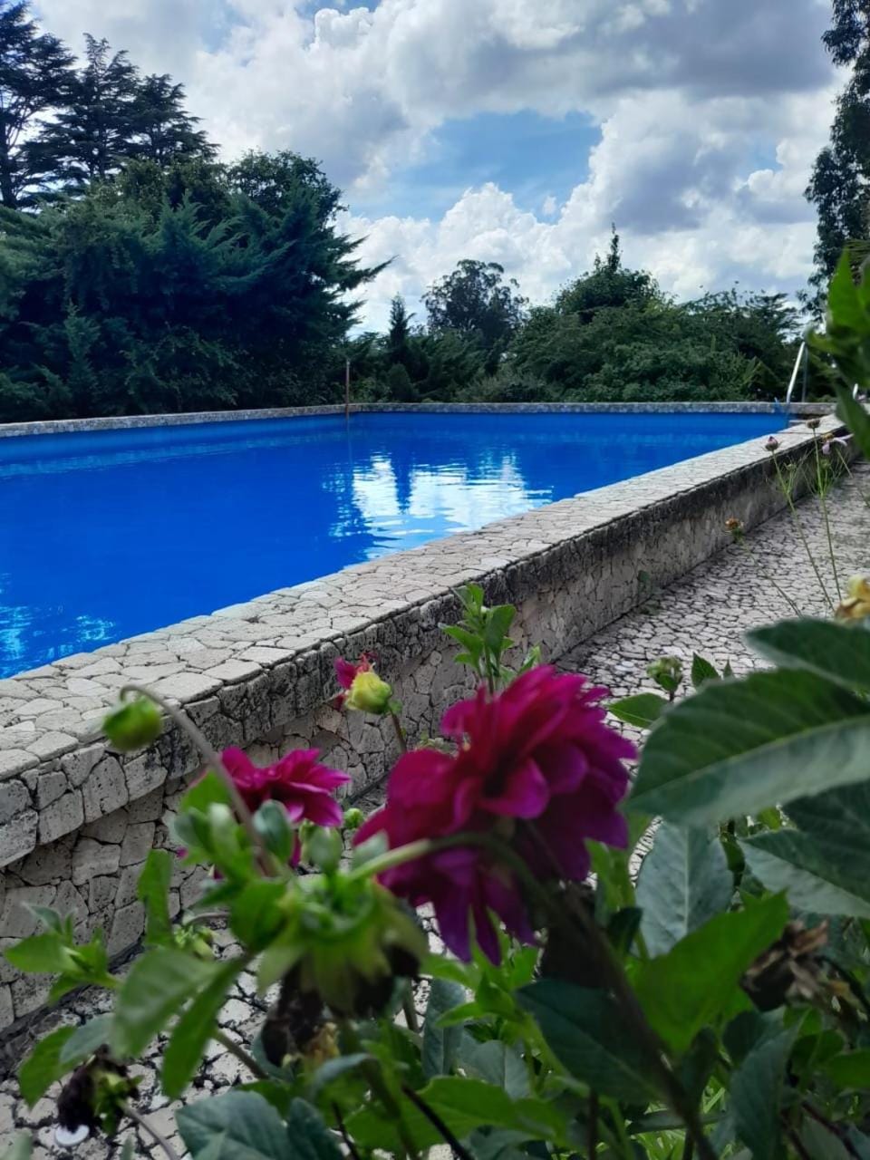 Garden view, Pool view