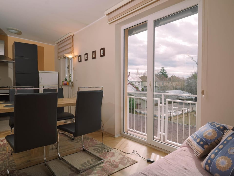 View (from property/room), Balcony/Terrace, Kitchen or kitchenette, Living room, Seating area, Dining area