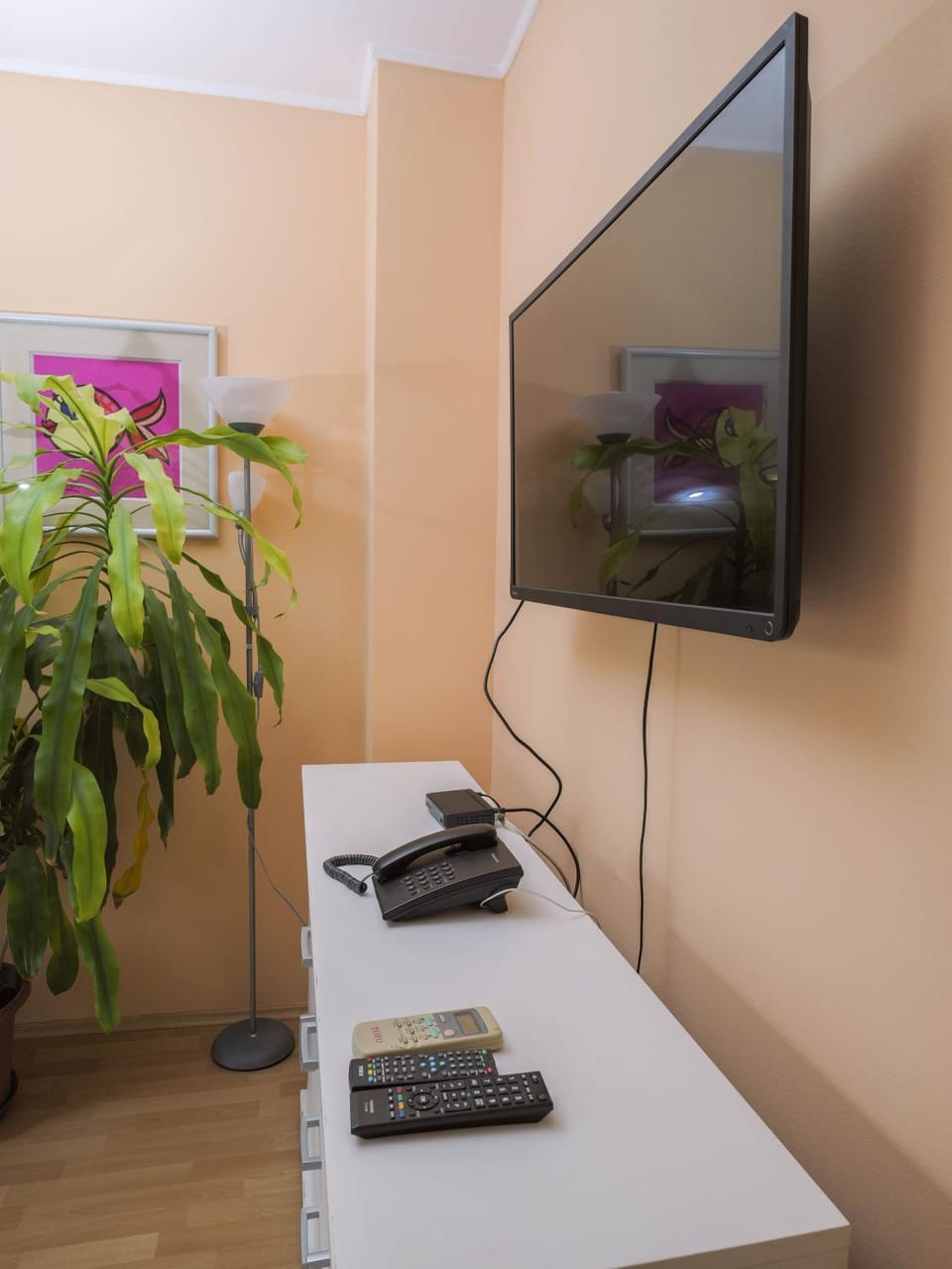 Communal lounge/ TV room, TV and multimedia