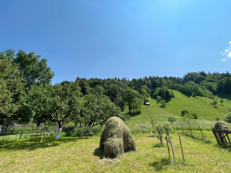 Natural landscape