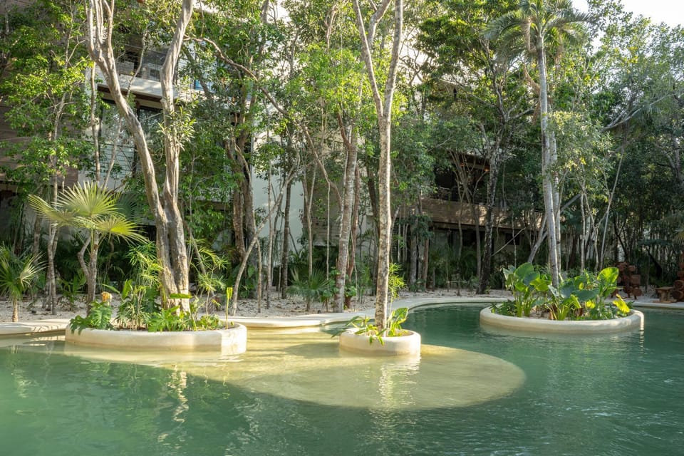 Swimming pool, Swimming pool