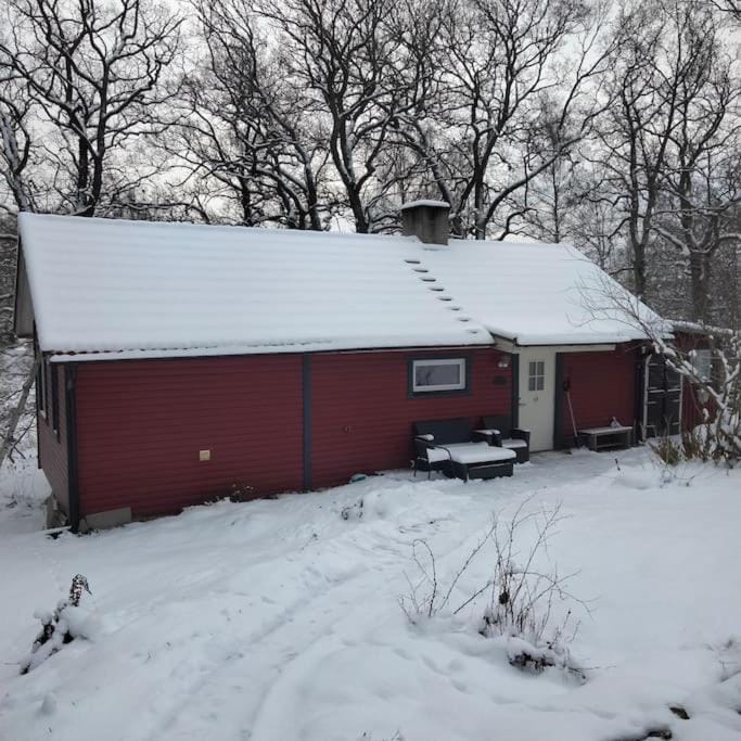 Ekbacken - naturskön stuga med närhet till havet House in Sweden
