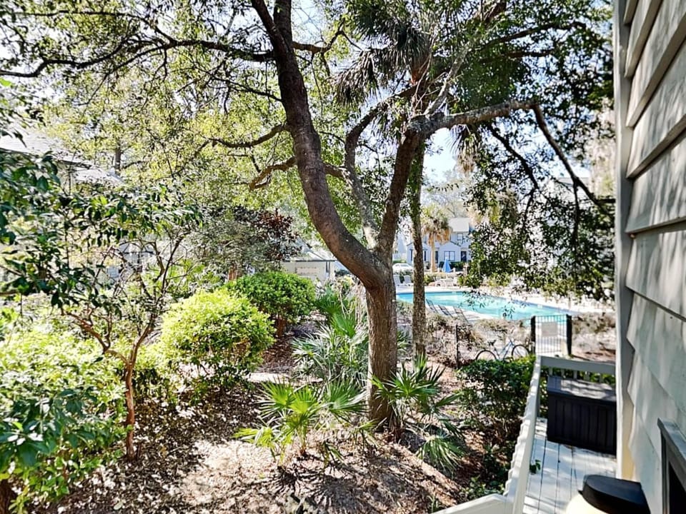 Garden, View (from property/room), Pool view, Swimming pool