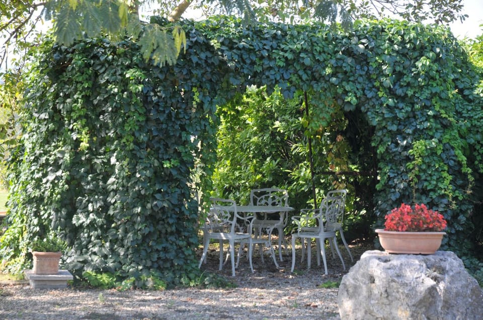 Patio, Day