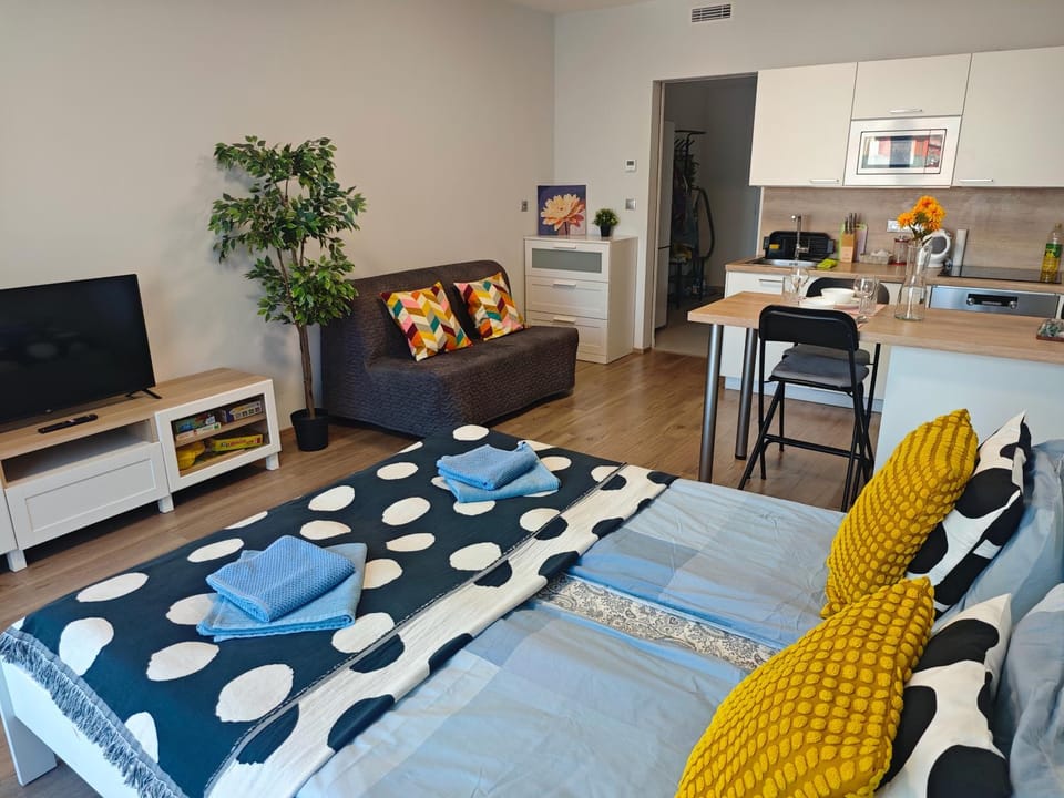 Bed, TV and multimedia, Kitchen or kitchenette, Photo of the whole room, Seating area, furniture, towels