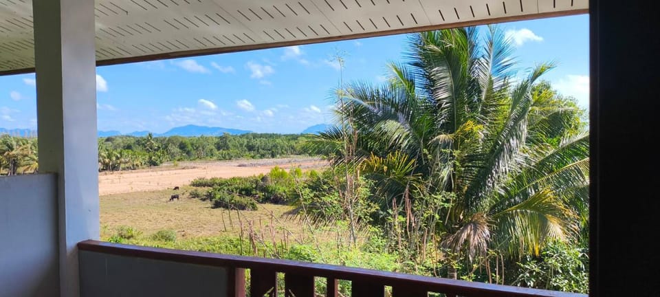 View (from property/room)