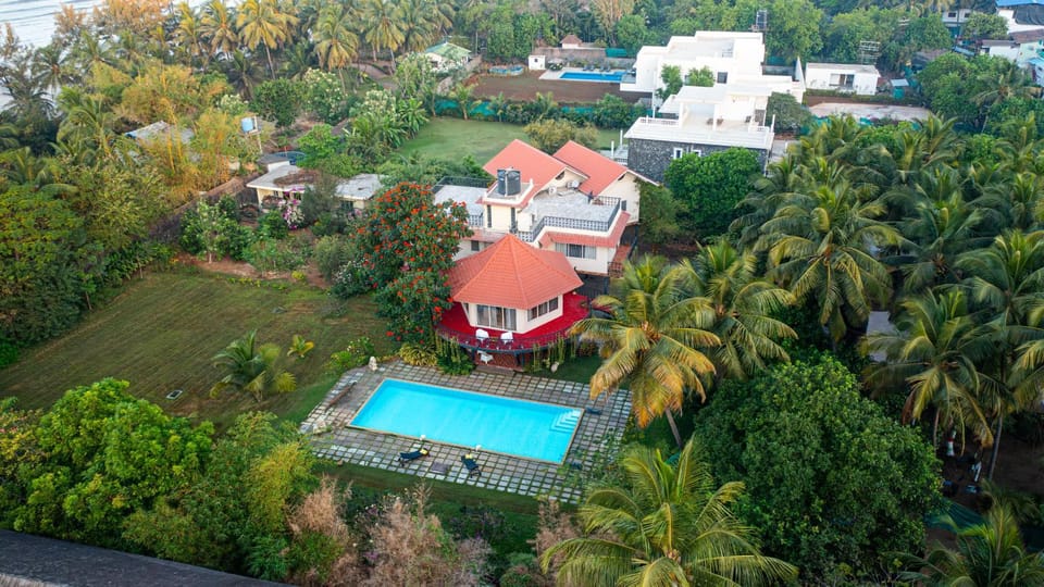 Day, Neighbourhood, Bird's eye view