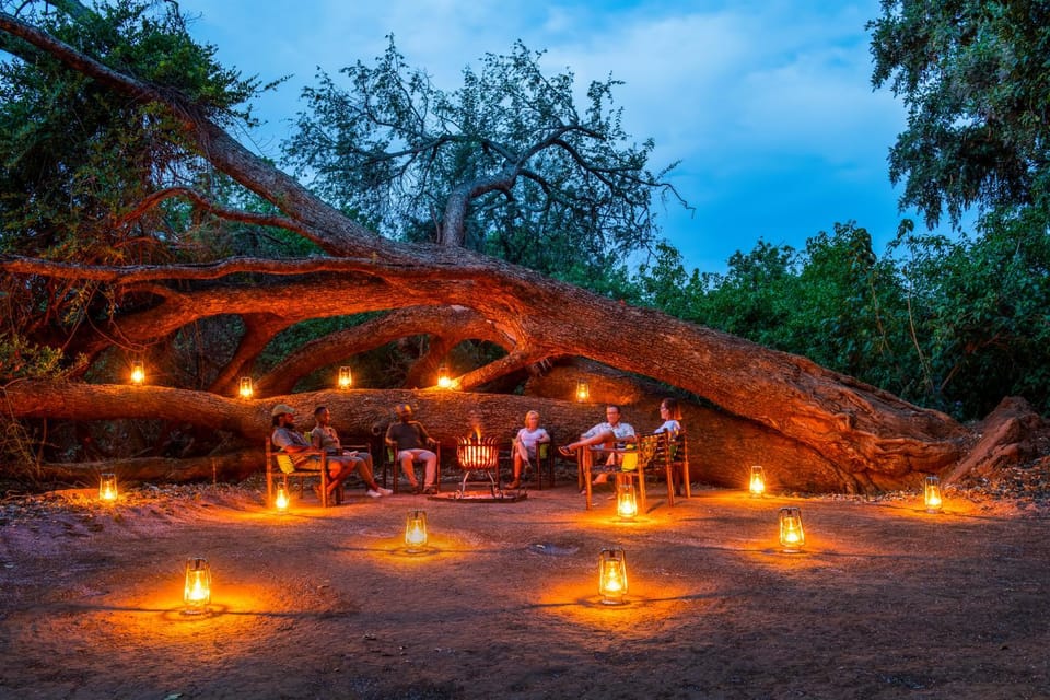 Night, Natural landscape, group of guests