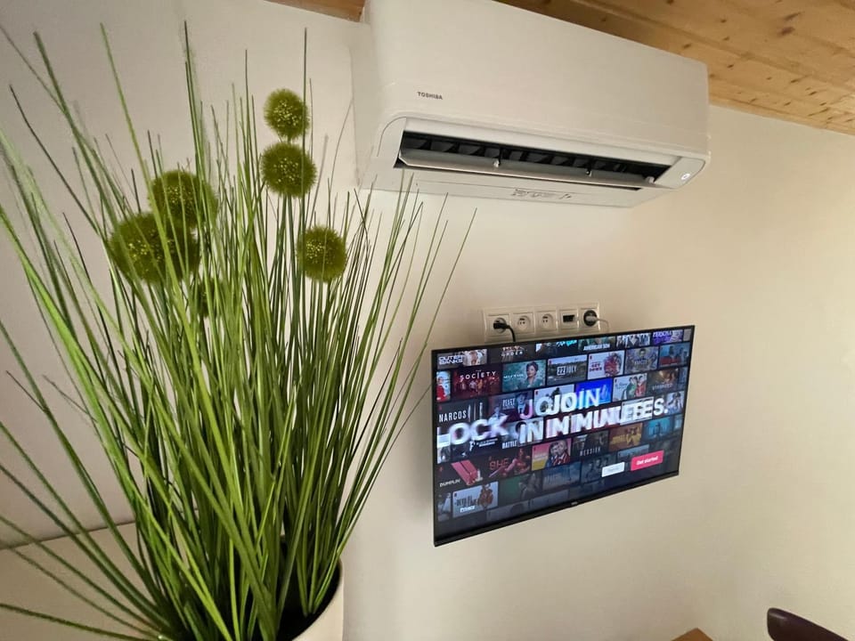 TV and multimedia, air conditioner