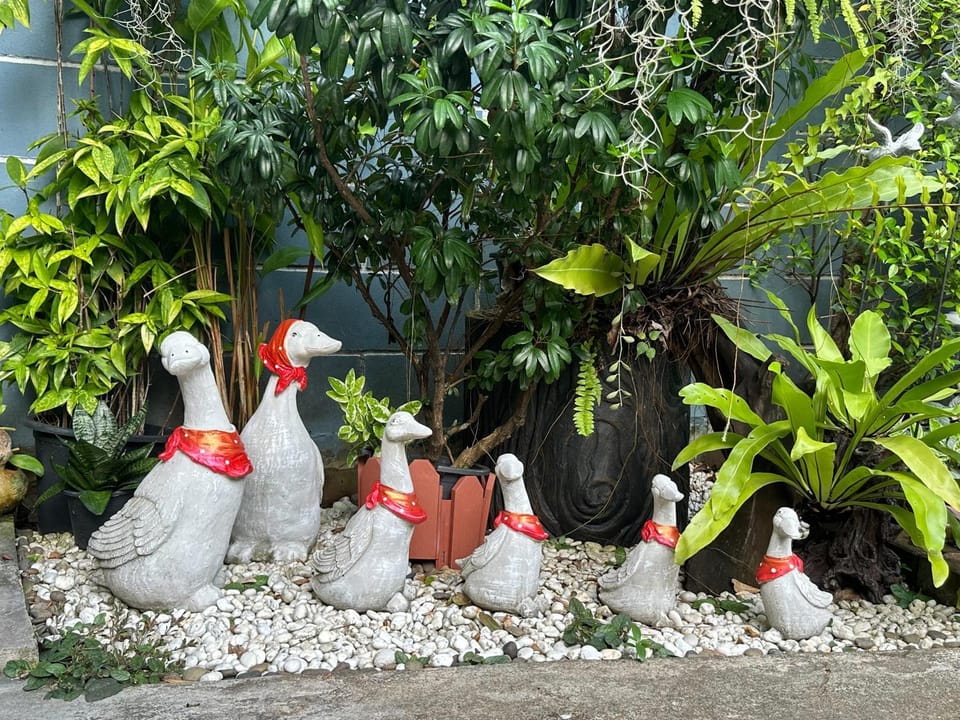 Garden view