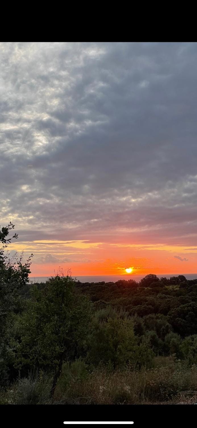 Natural landscape, Summer, Sea view, Sunrise