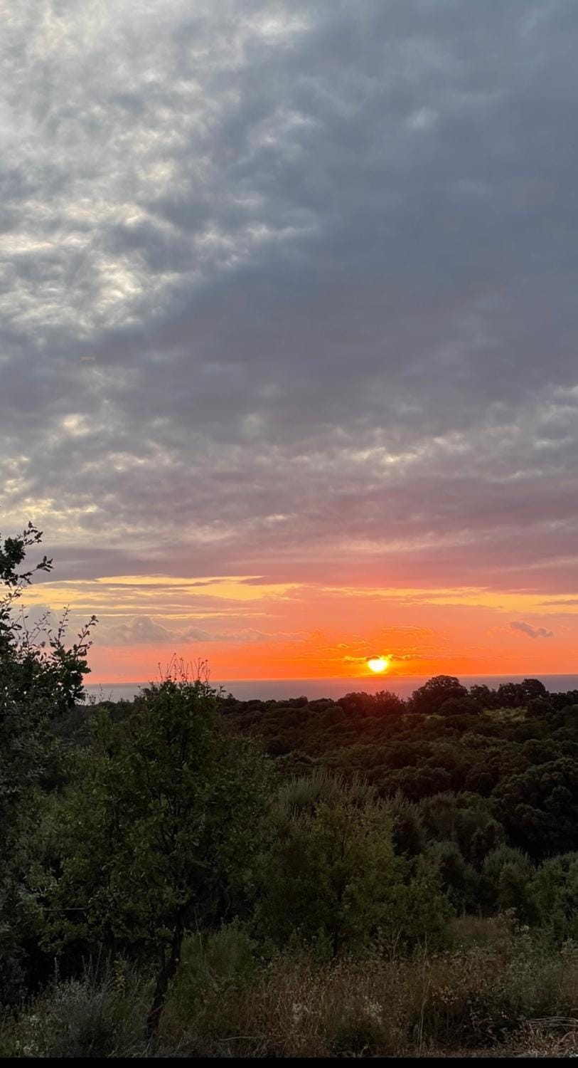 Day, Sea view, Sunrise