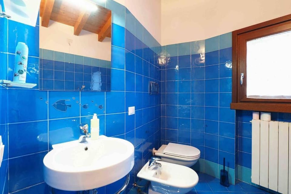 Toilet, Bathroom, bidet