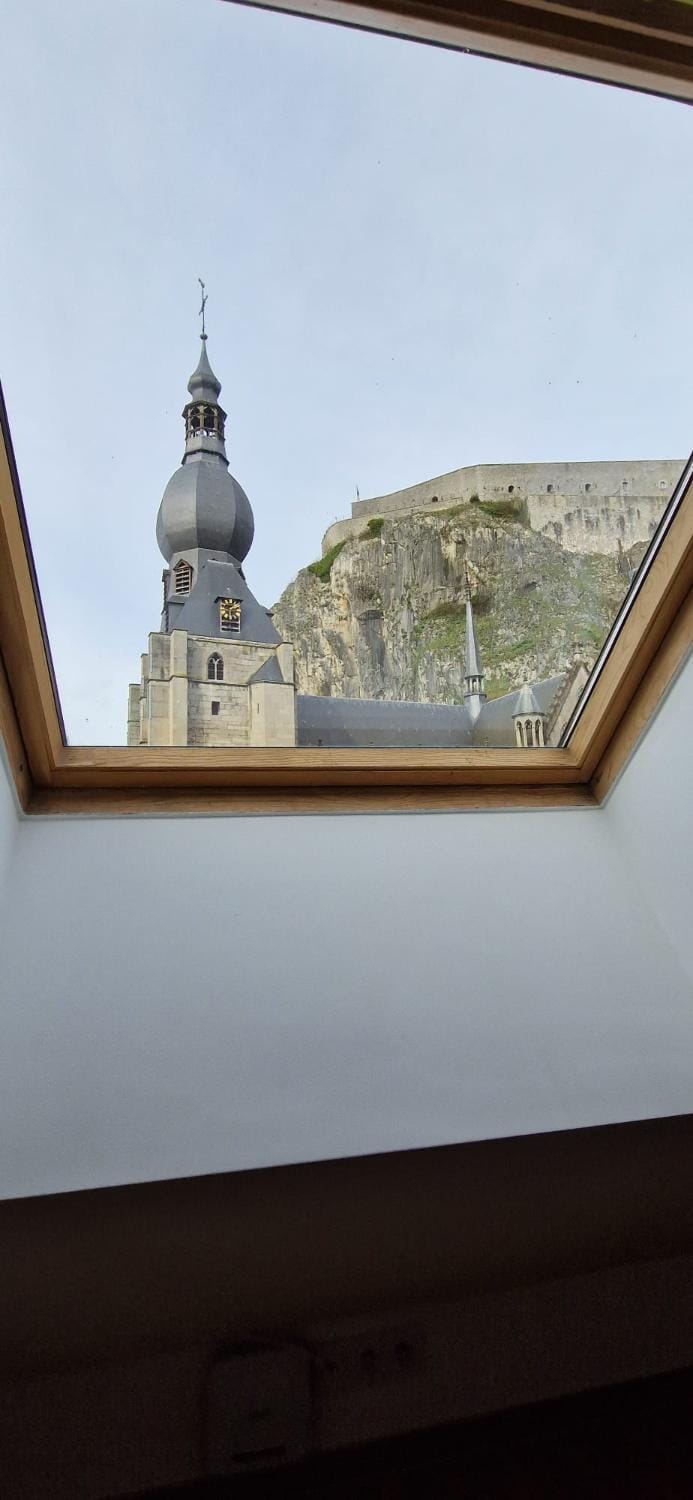 NOMAD APARTMENTS - Vue collégiale Apartment in Dinant