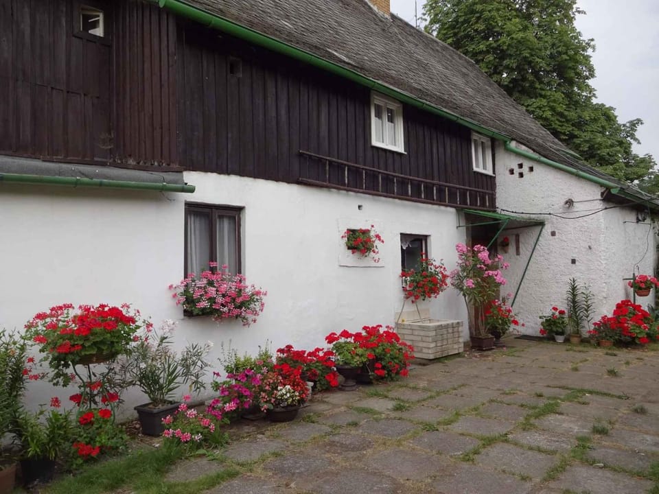 Property building, Summer