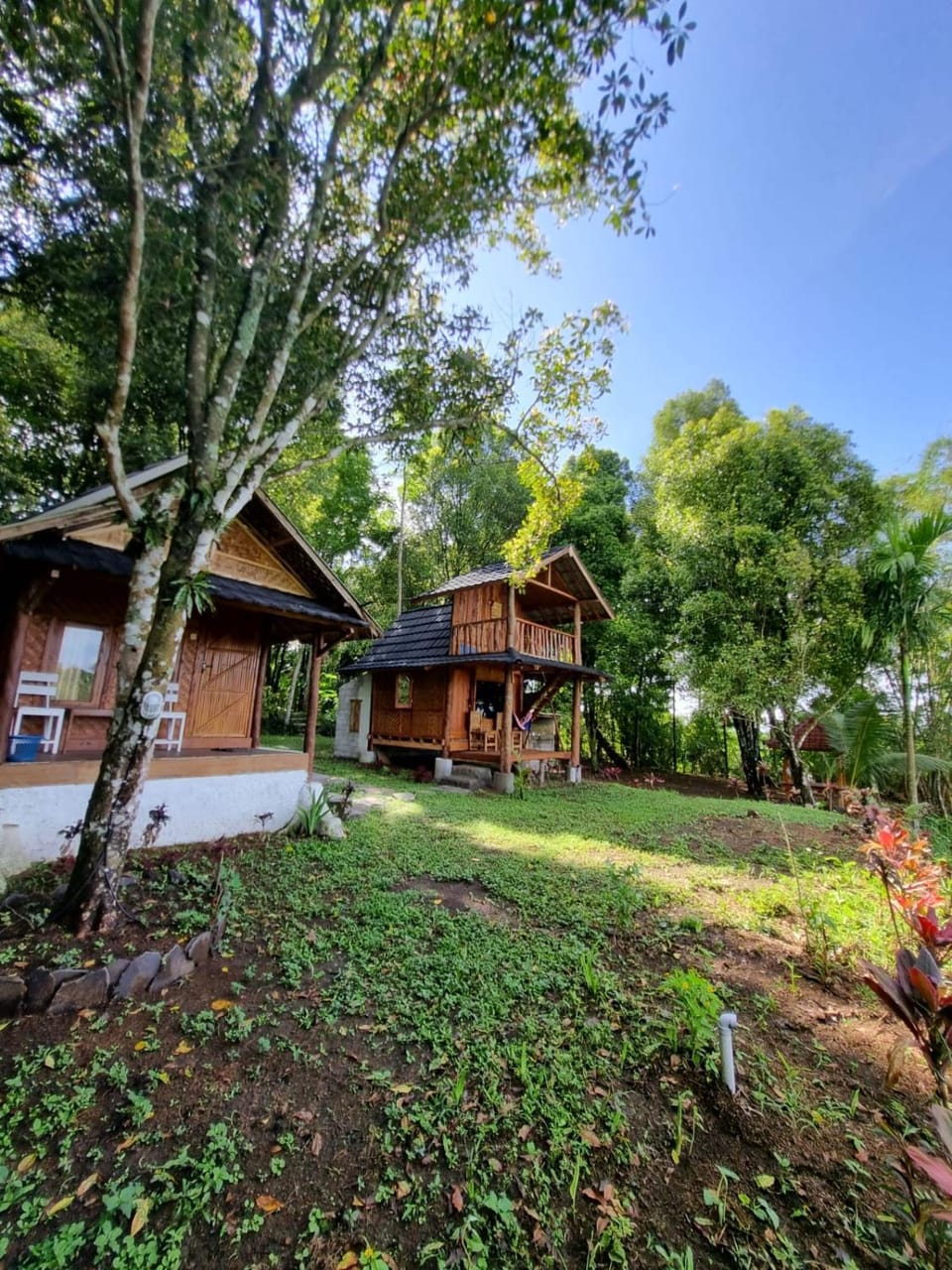 Property building, Spring, Day, Natural landscape, Garden, Garden view
