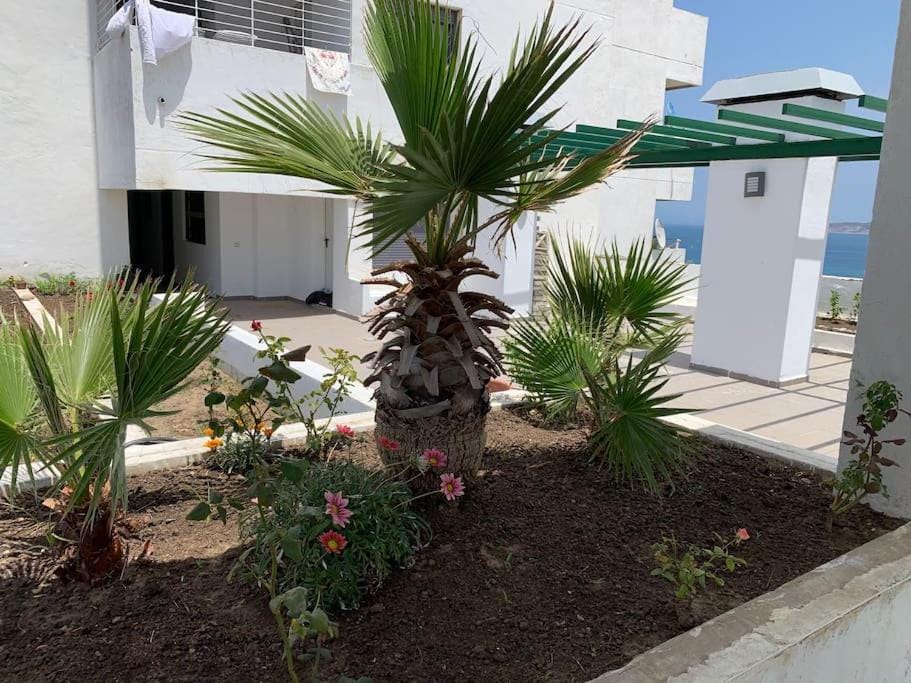 Patio, Garden, Garden