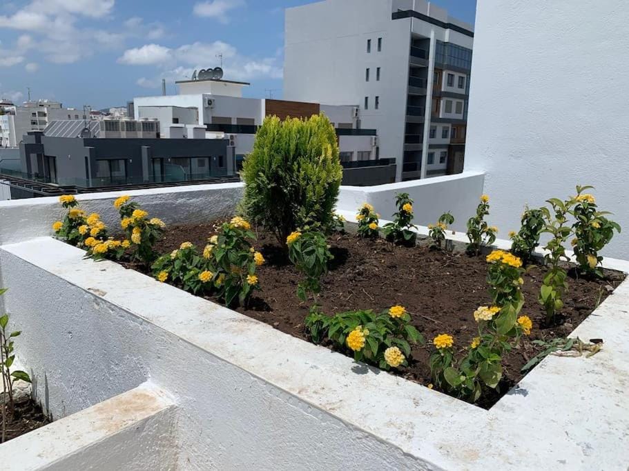 Garden, Garden