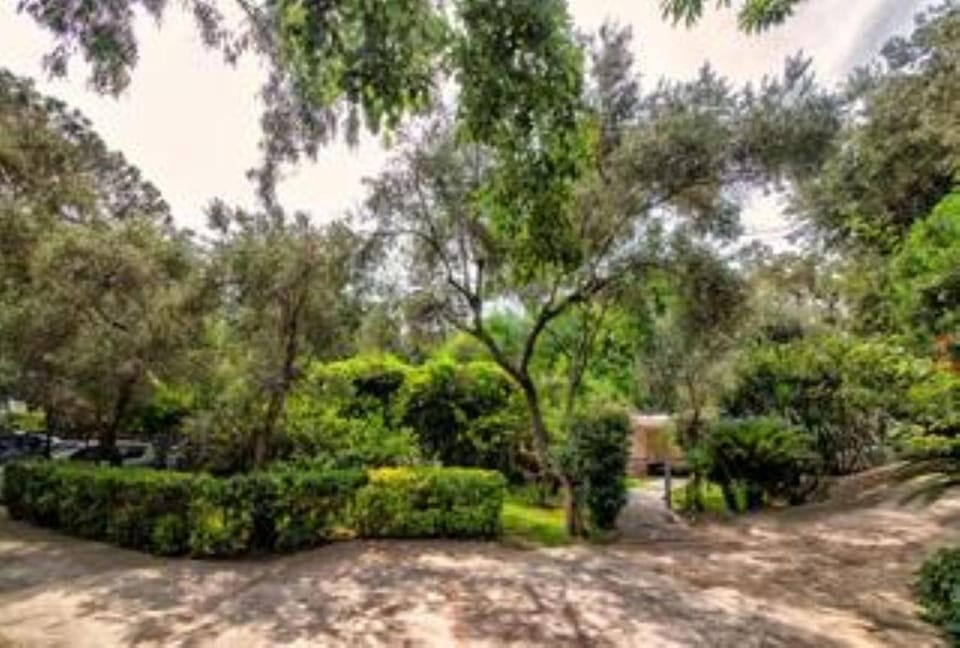 Garden, Garden view