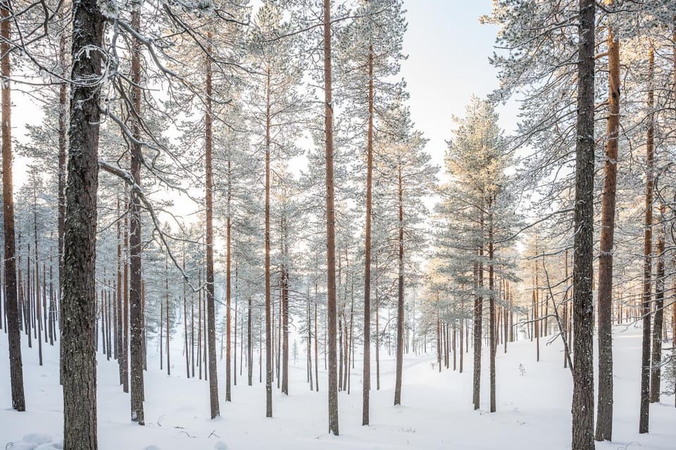 Natural landscape, Winter, Lake view