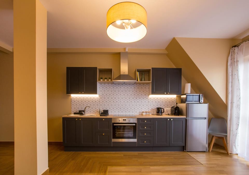 Kitchen or kitchenette, minibar, pet friendly, stove