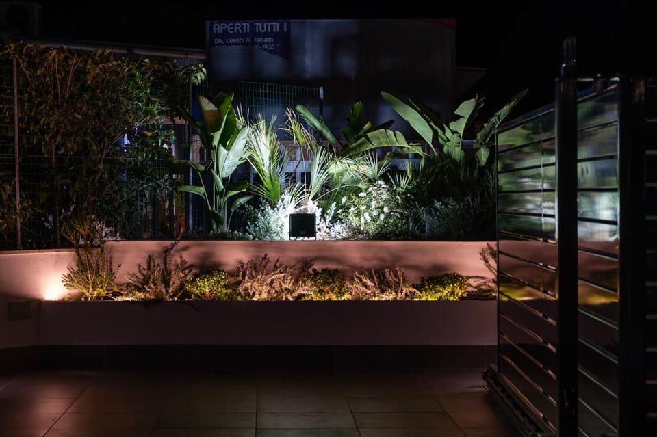 Patio, Garden, Garden view