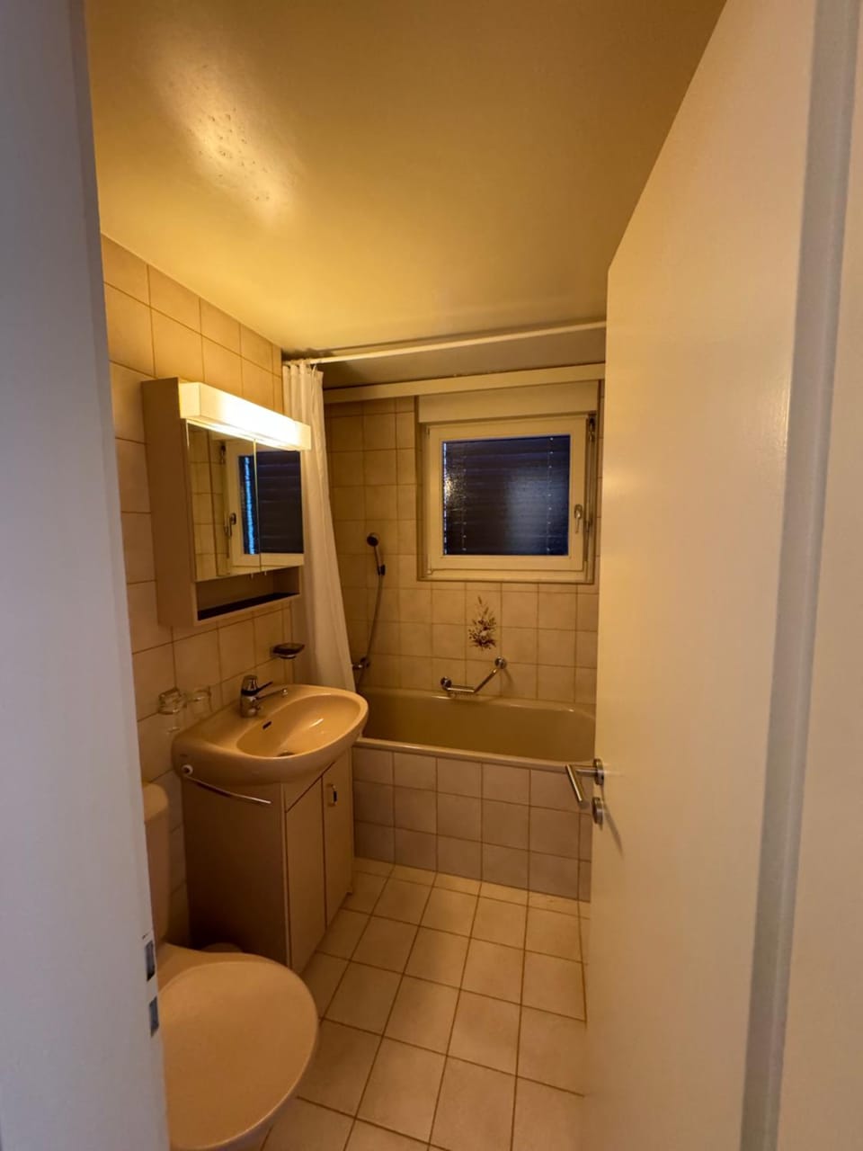 Shower, Toilet, Bathroom, Bath