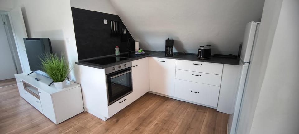 Kitchen or kitchenette, dishwasher, stove, stove, kitchen, kitchen