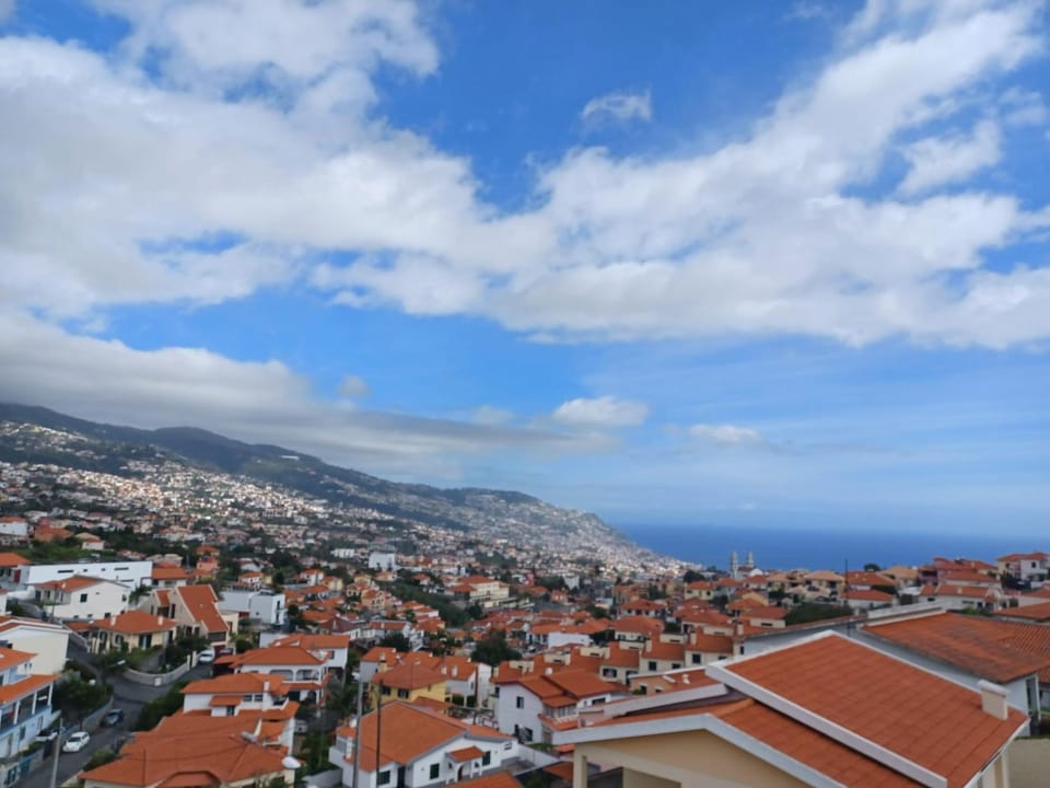 Ocean Paradise Til II Apartment in Funchal