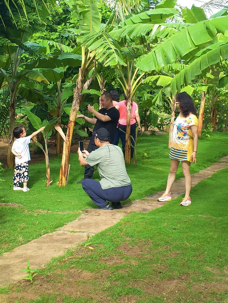 People, Natural landscape, Garden, Guests, Garden view, children, group of guests, Family