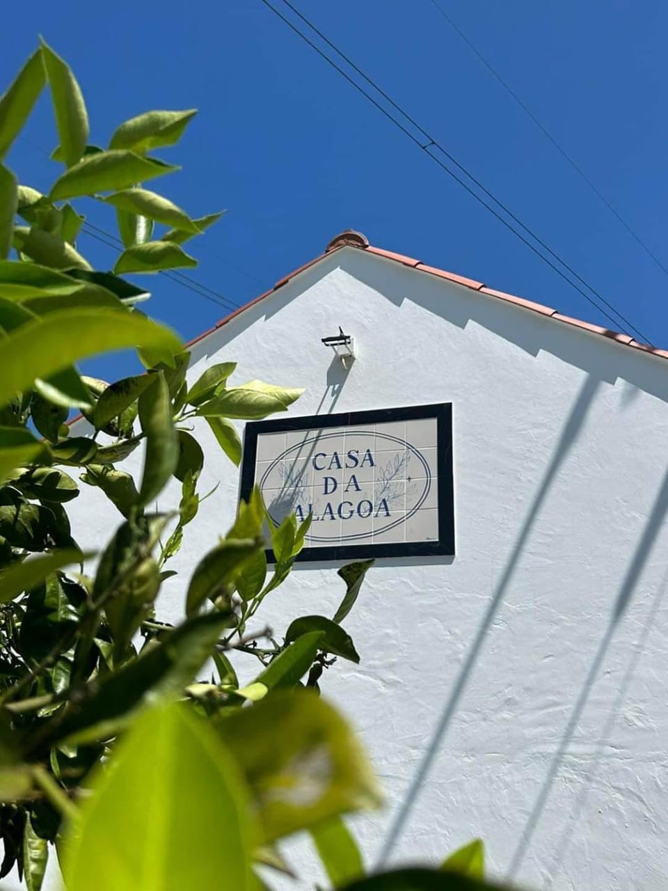 Casa da Alagoa Farm Stay in Leiria, Portugal