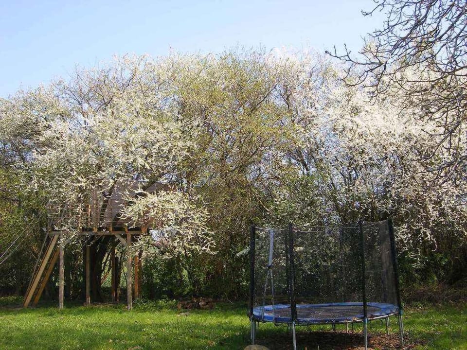 Summer, Garden