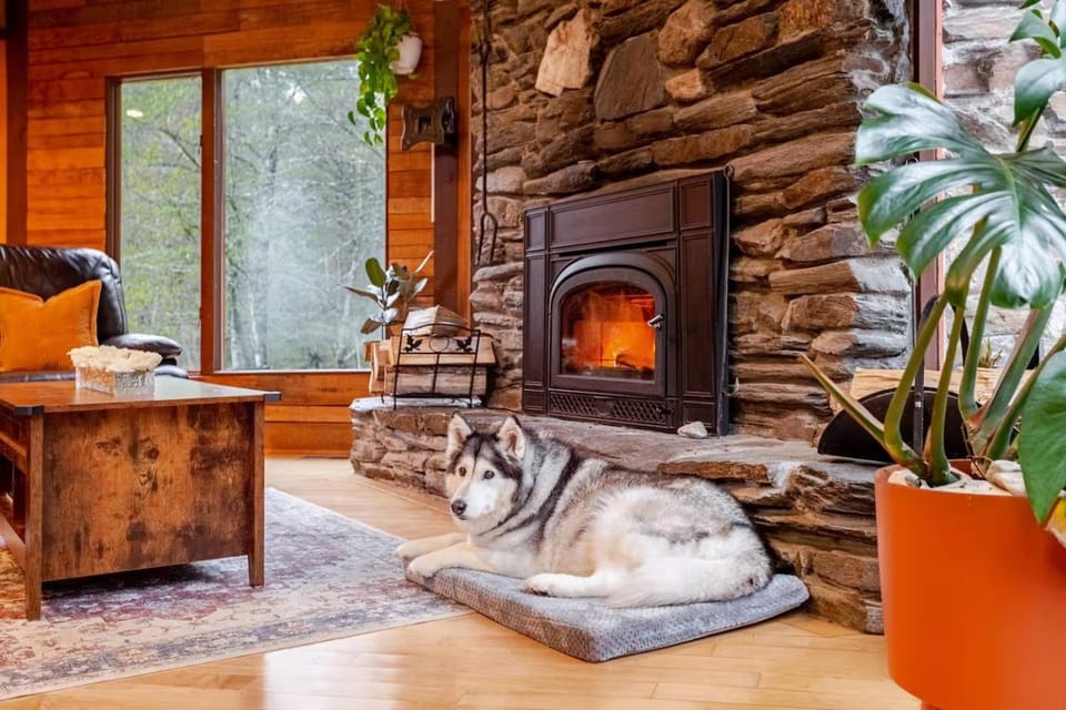 pet friendly