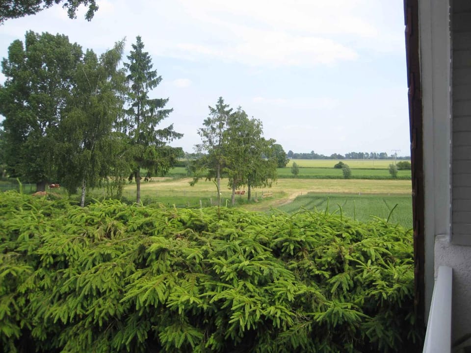 Natural landscape, Summer